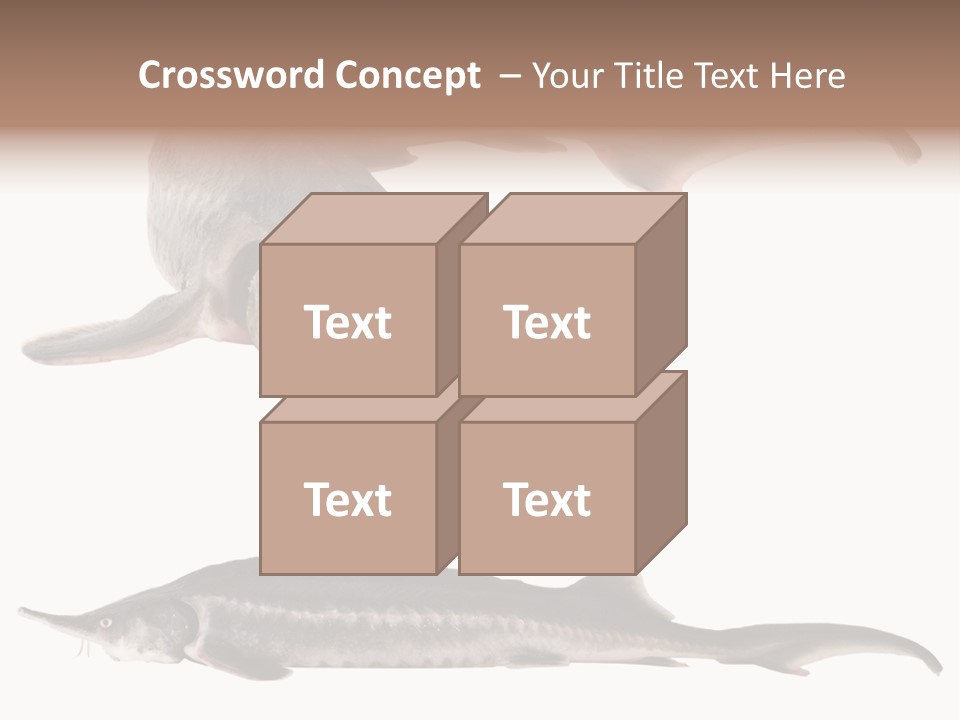 Seafood Closeup Sturgeon PowerPoint Template