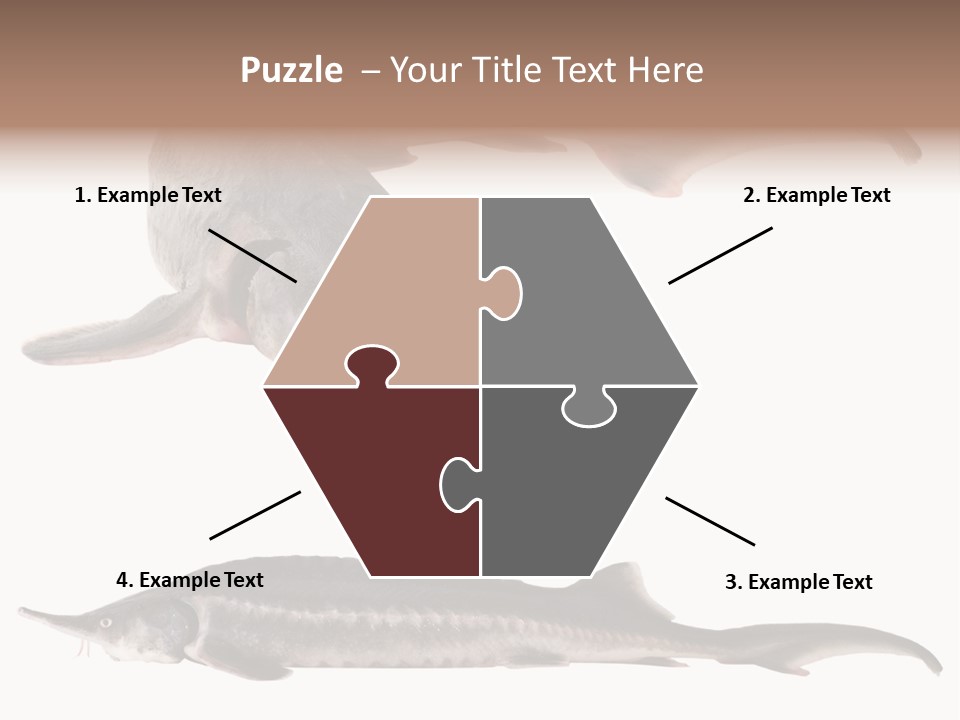 Seafood Closeup Sturgeon PowerPoint Template