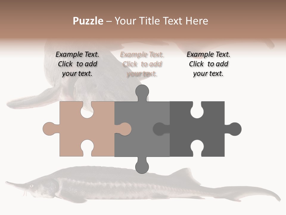 Seafood Closeup Sturgeon PowerPoint Template