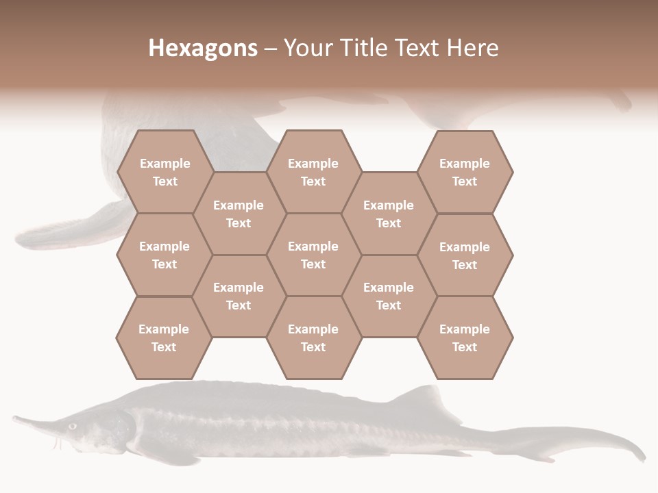 Seafood Closeup Sturgeon PowerPoint Template