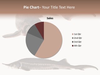 Seafood Closeup Sturgeon PowerPoint Template