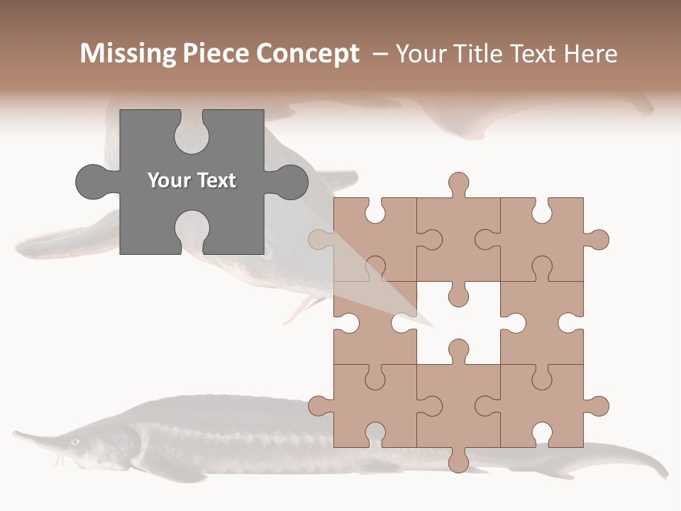 Seafood Closeup Sturgeon PowerPoint Template