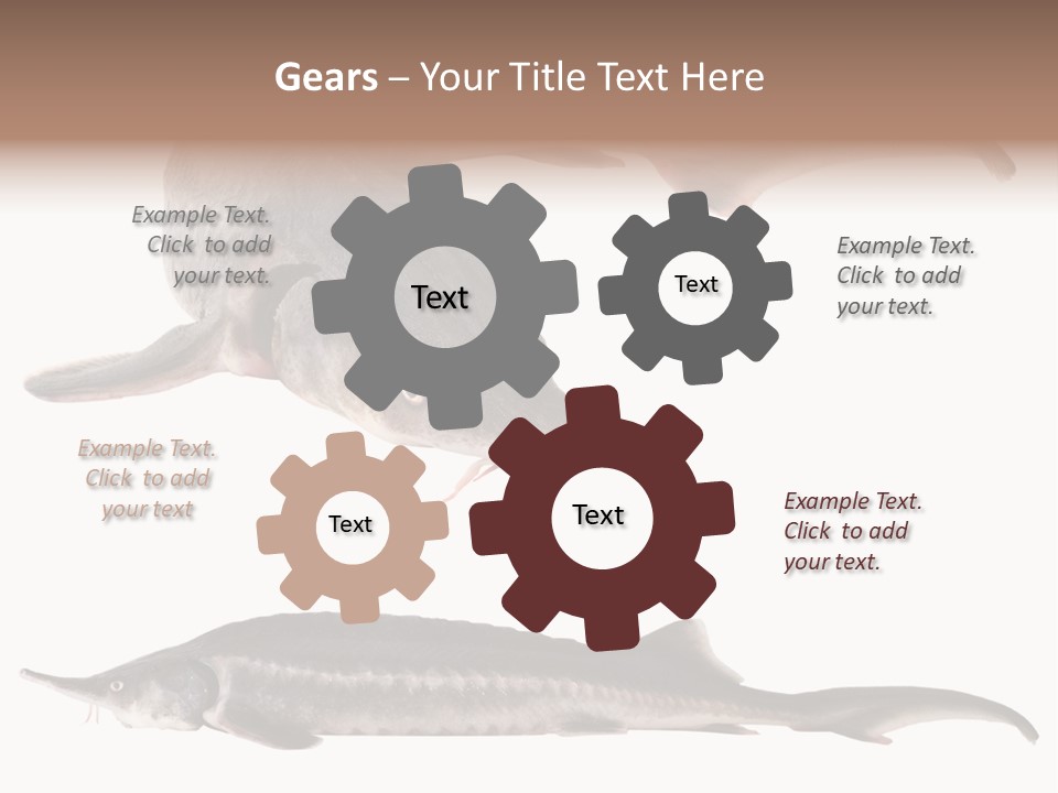 Seafood Closeup Sturgeon PowerPoint Template