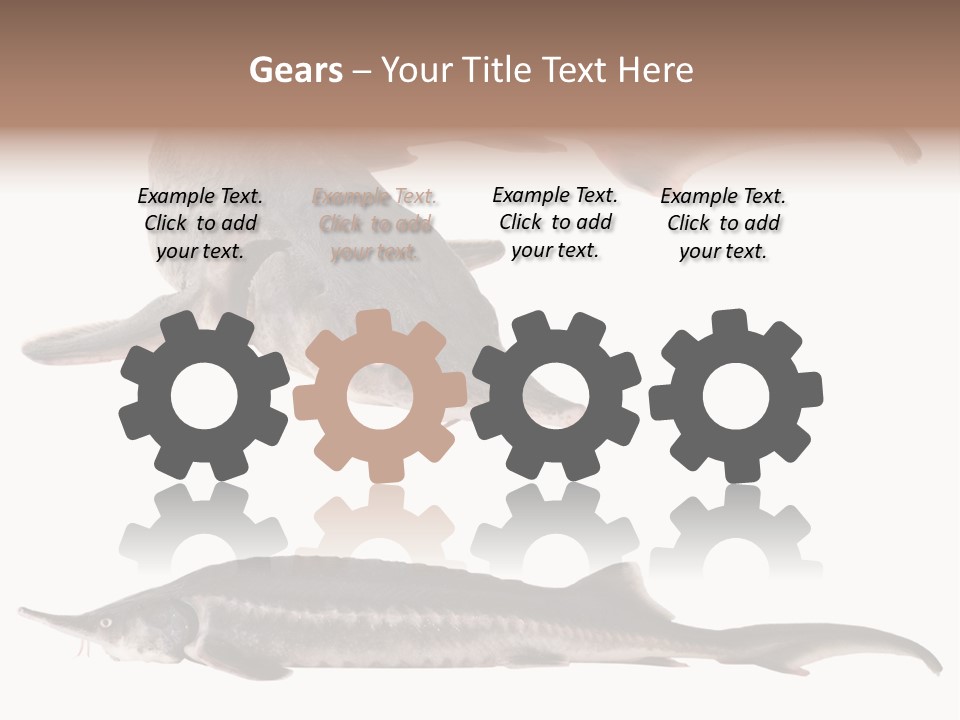 Seafood Closeup Sturgeon PowerPoint Template