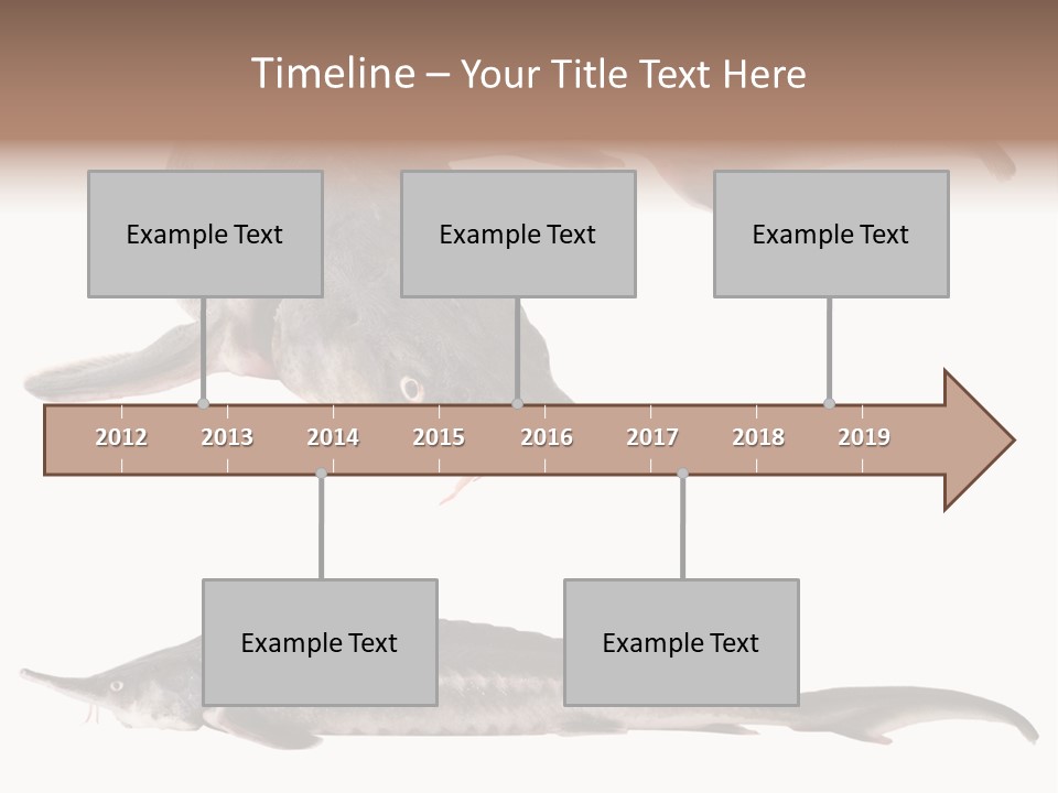 Seafood Closeup Sturgeon PowerPoint Template