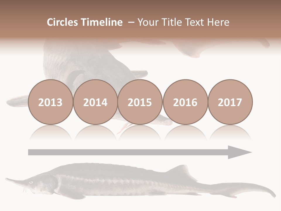 Seafood Closeup Sturgeon PowerPoint Template