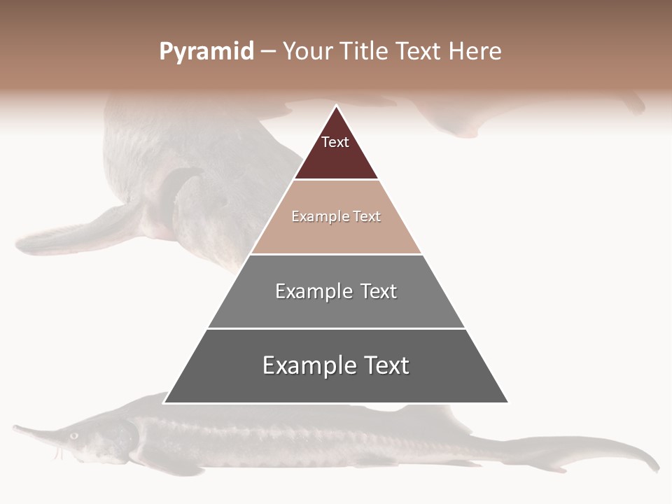 Seafood Closeup Sturgeon PowerPoint Template