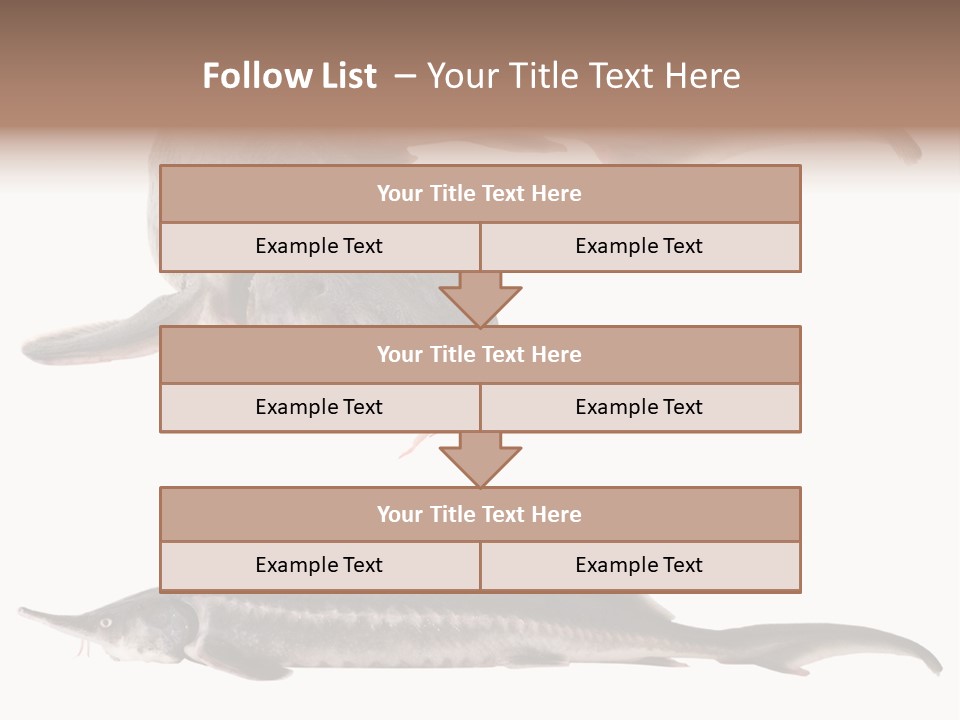 Seafood Closeup Sturgeon PowerPoint Template