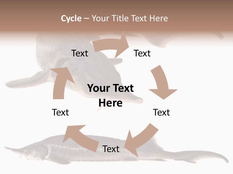 Seafood Closeup Sturgeon PowerPoint Template