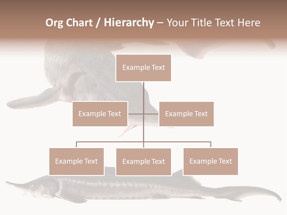 Seafood Closeup Sturgeon PowerPoint Template