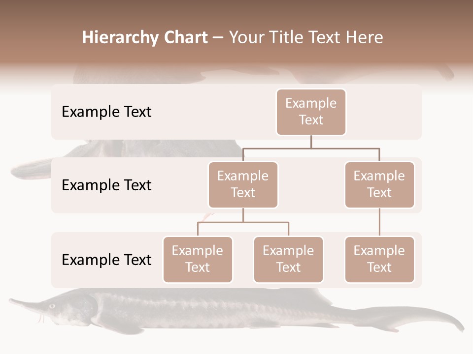 Seafood Closeup Sturgeon PowerPoint Template