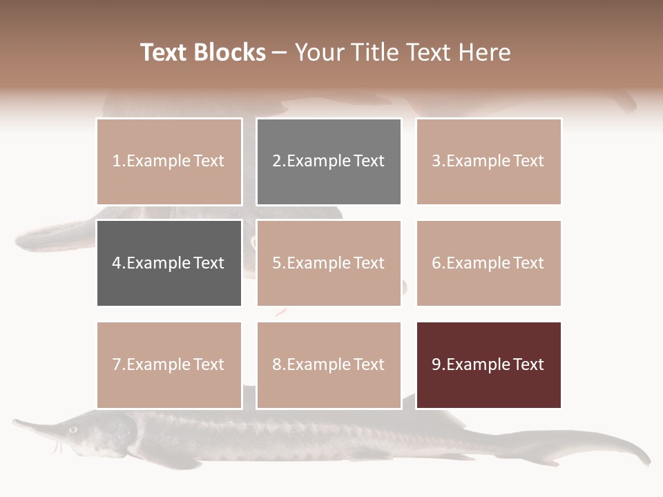 Seafood Closeup Sturgeon PowerPoint Template