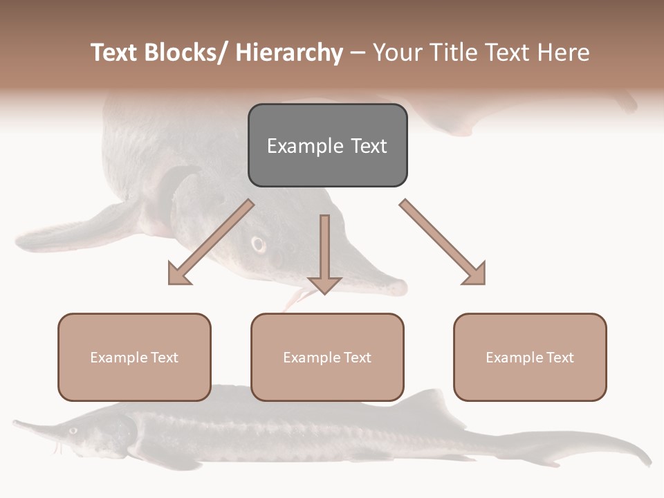 Seafood Closeup Sturgeon PowerPoint Template