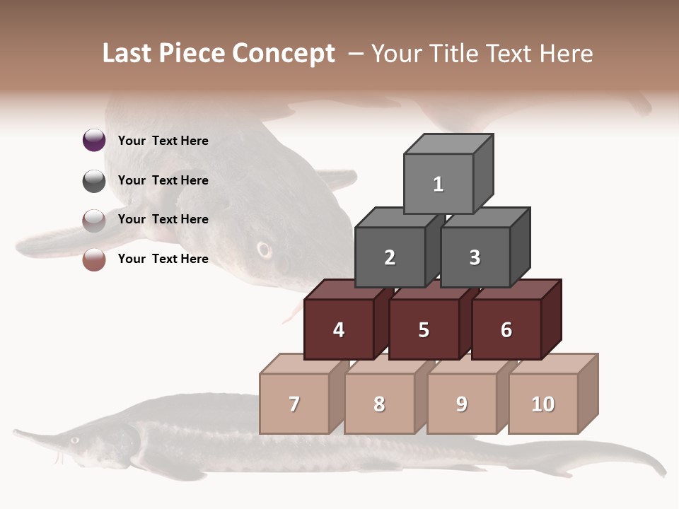 Seafood Closeup Sturgeon PowerPoint Template