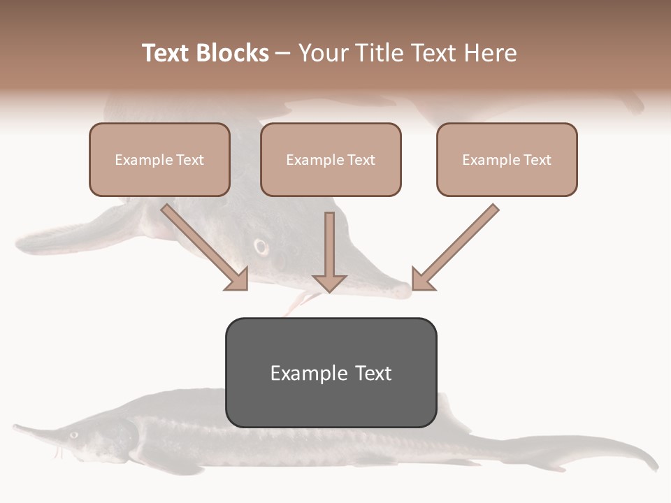 Seafood Closeup Sturgeon PowerPoint Template