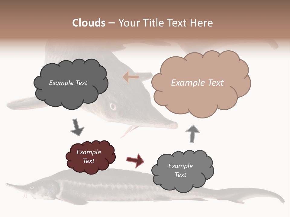 Seafood Closeup Sturgeon PowerPoint Template