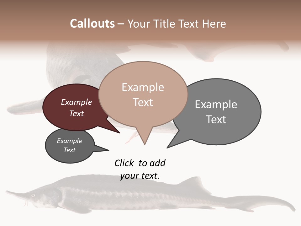 Seafood Closeup Sturgeon PowerPoint Template