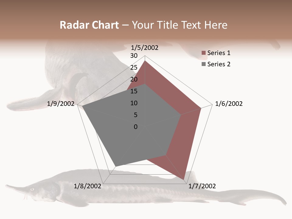 Seafood Closeup Sturgeon PowerPoint Template