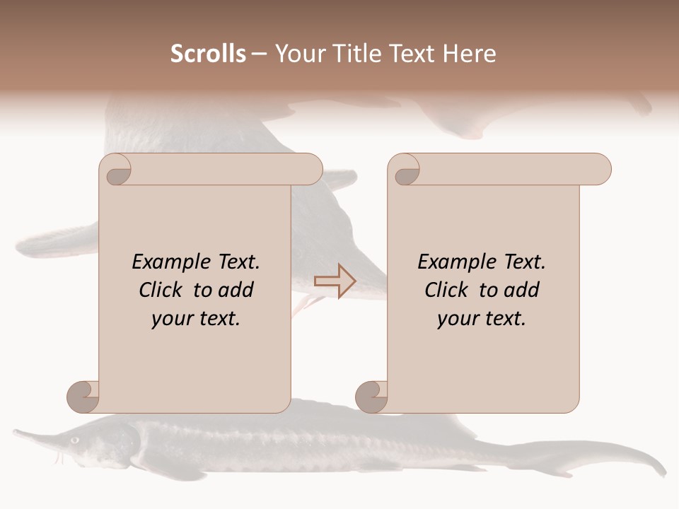 Seafood Closeup Sturgeon PowerPoint Template
