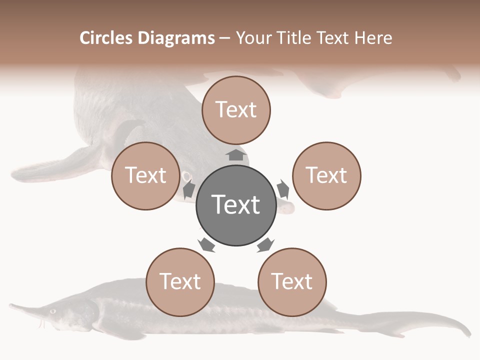 Seafood Closeup Sturgeon PowerPoint Template