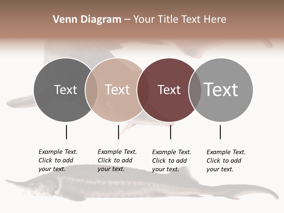 Seafood Closeup Sturgeon PowerPoint Template