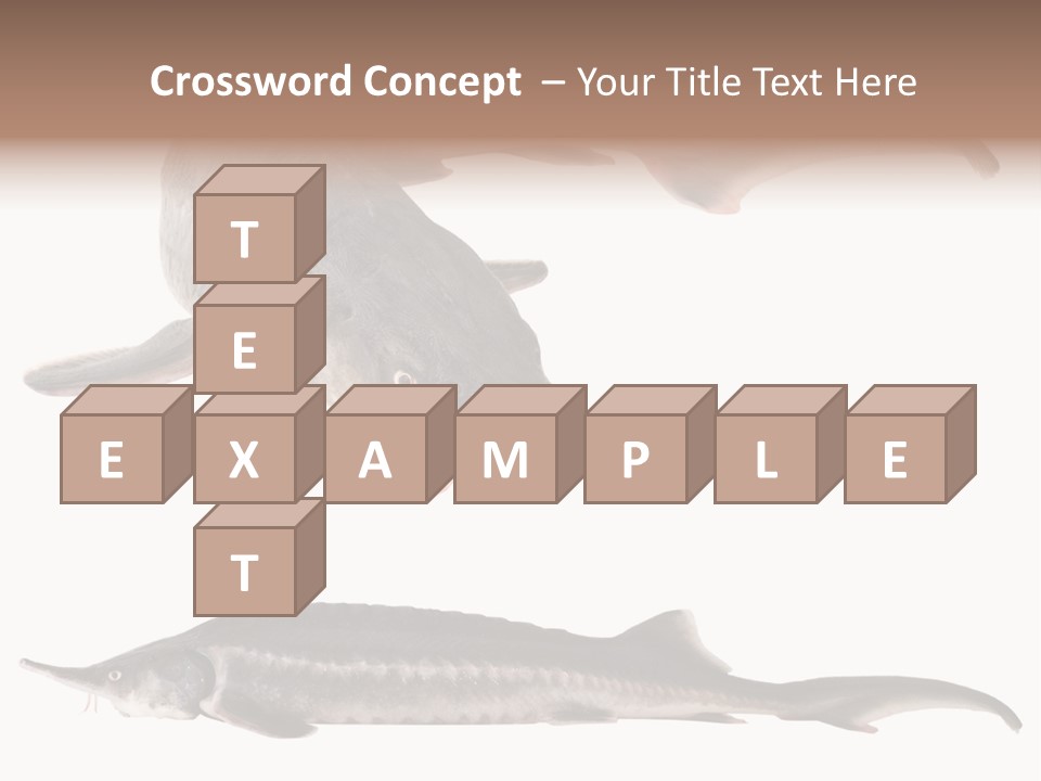 Seafood Closeup Sturgeon PowerPoint Template