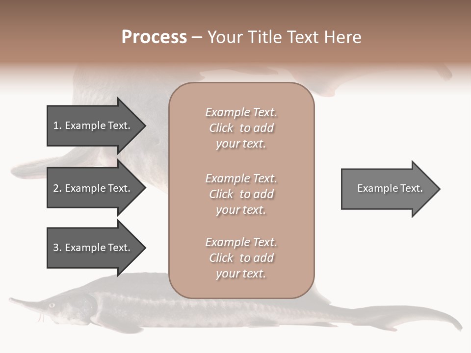 Seafood Closeup Sturgeon PowerPoint Template
