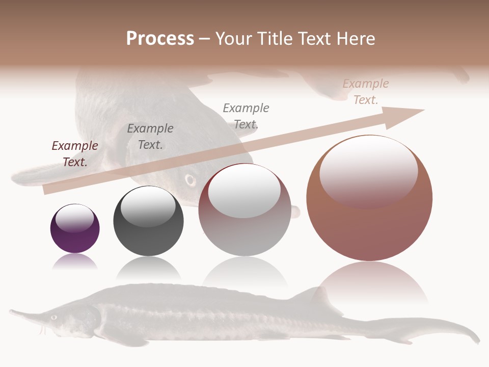 Seafood Closeup Sturgeon PowerPoint Template