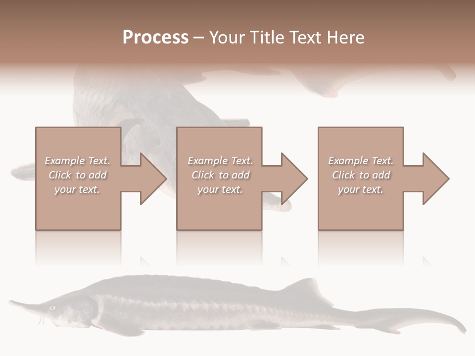 Seafood Closeup Sturgeon PowerPoint Template