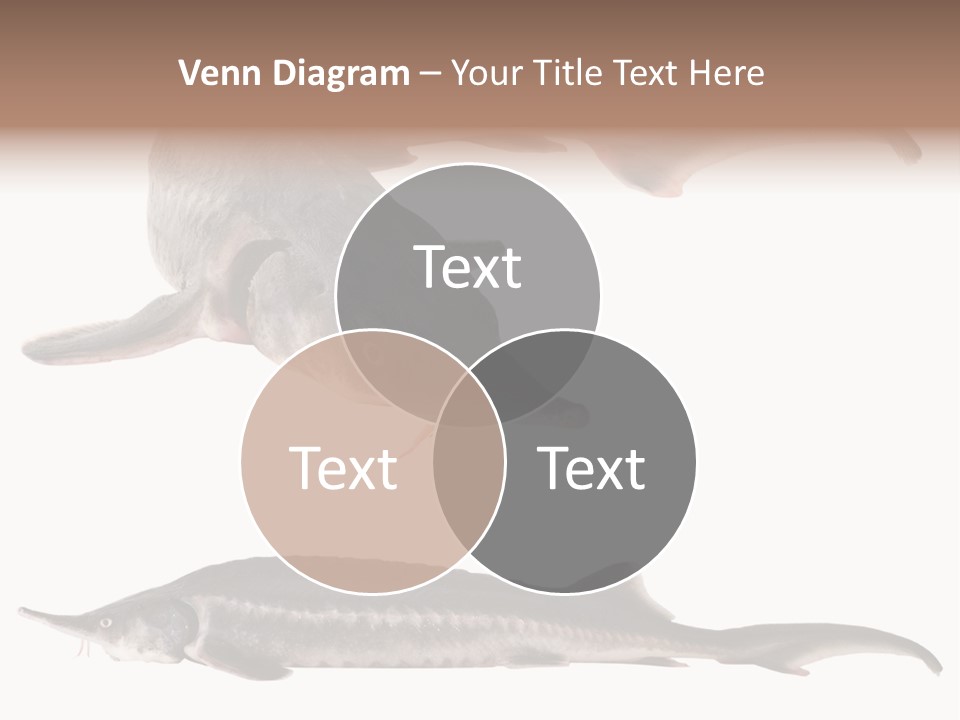 Seafood Closeup Sturgeon PowerPoint Template