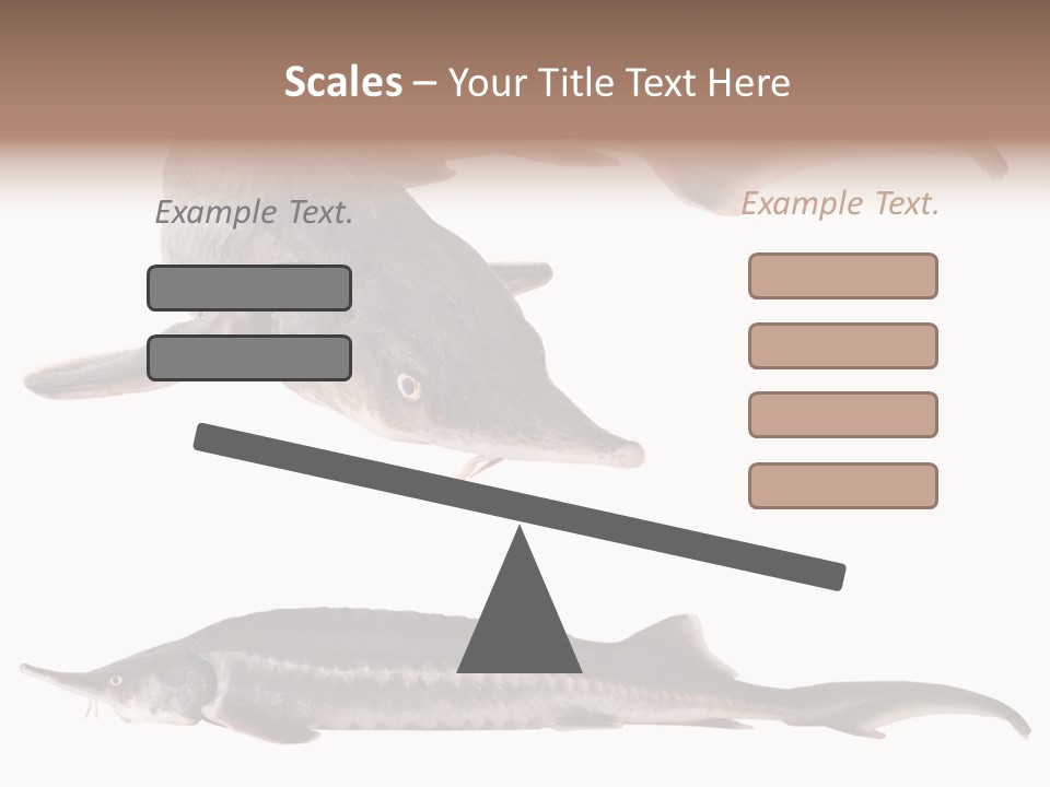 Seafood Closeup Sturgeon PowerPoint Template