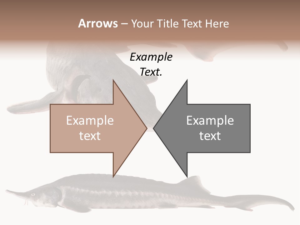 Seafood Closeup Sturgeon PowerPoint Template