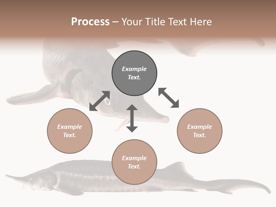 Seafood Closeup Sturgeon PowerPoint Template