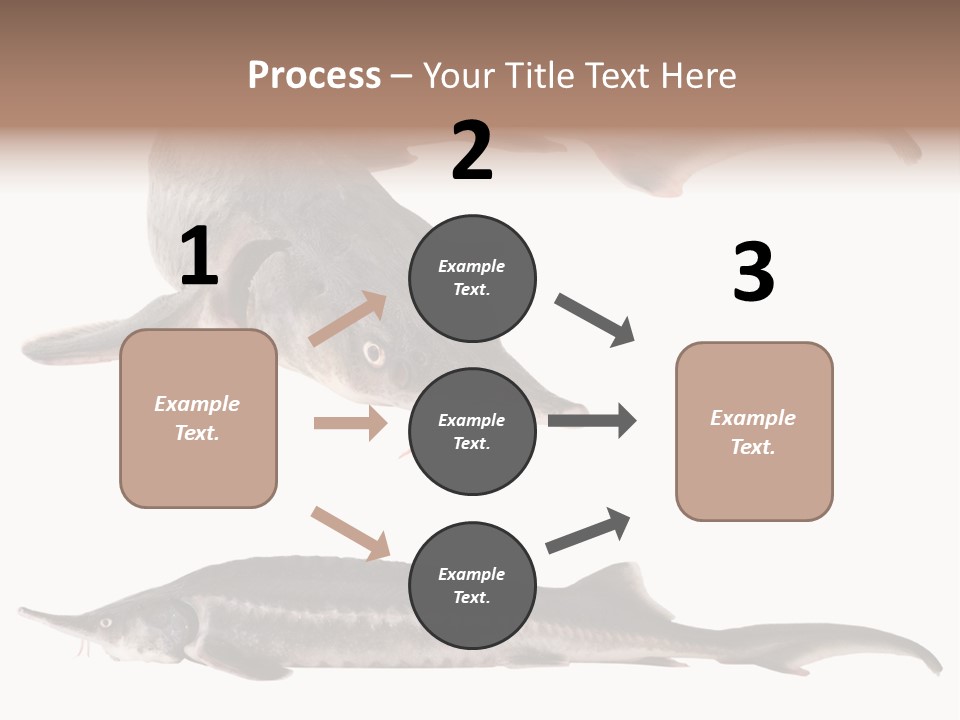 Seafood Closeup Sturgeon PowerPoint Template