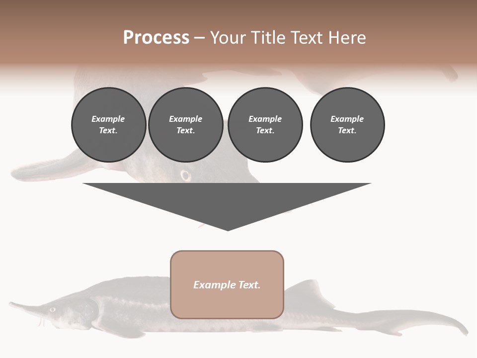 Seafood Closeup Sturgeon PowerPoint Template