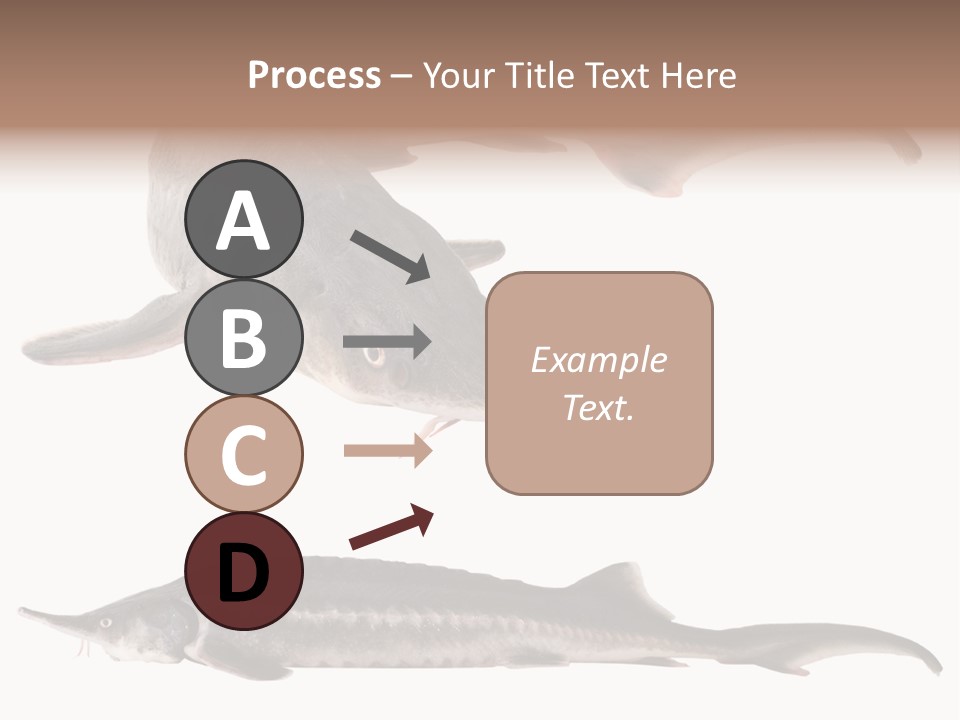 Seafood Closeup Sturgeon PowerPoint Template