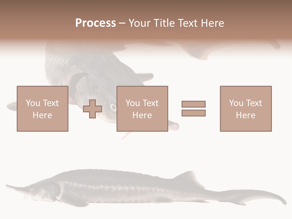 Seafood Closeup Sturgeon PowerPoint Template