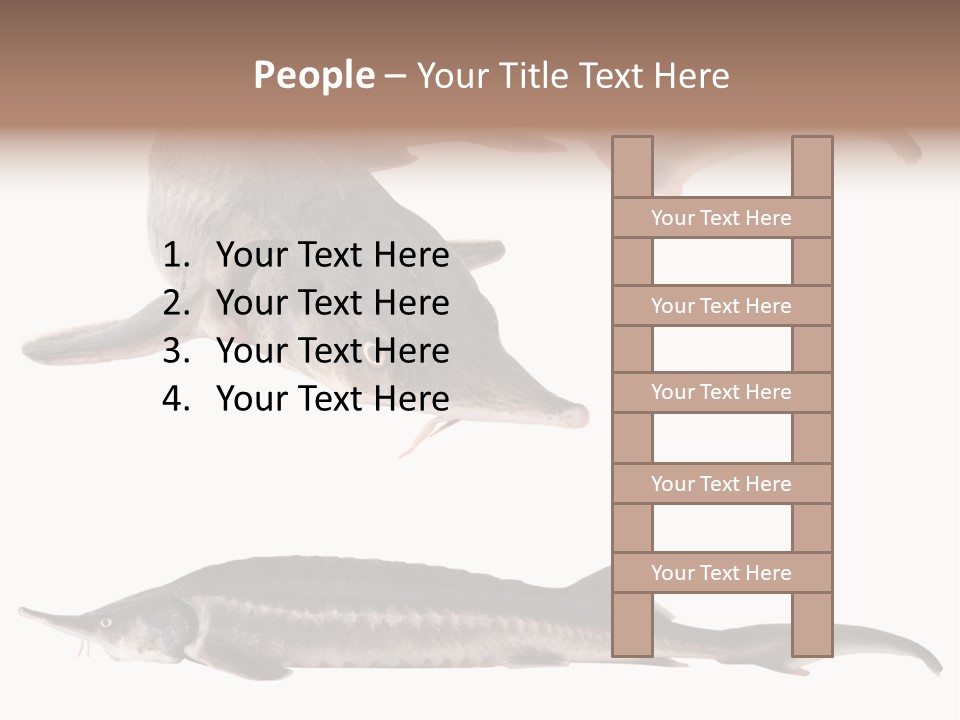 Seafood Closeup Sturgeon PowerPoint Template