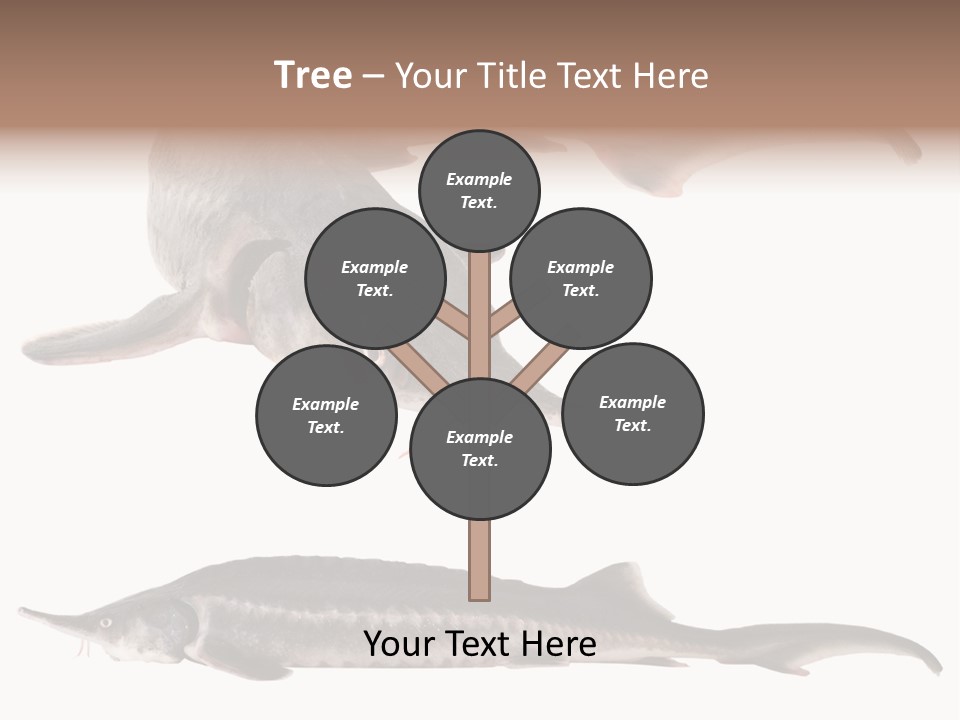 Seafood Closeup Sturgeon PowerPoint Template