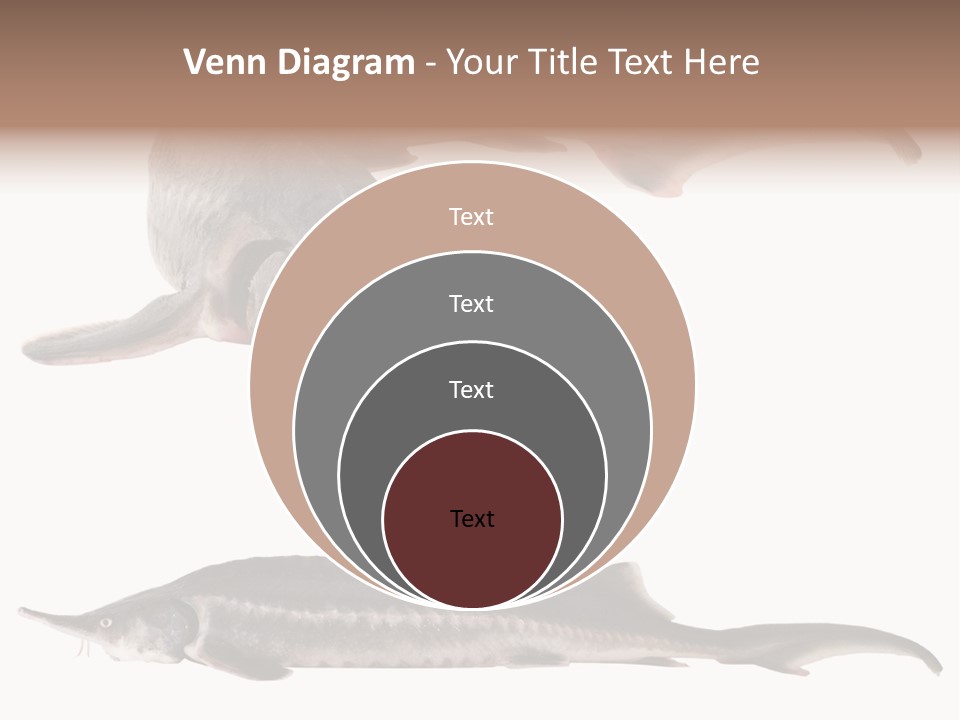 Seafood Closeup Sturgeon PowerPoint Template