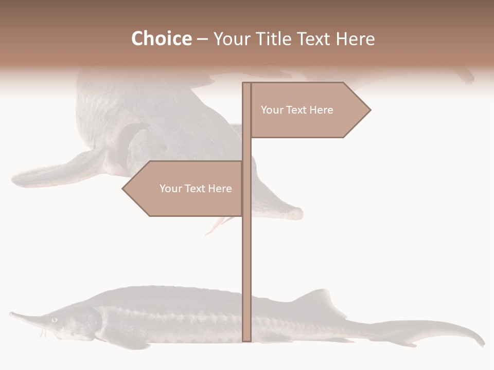 Seafood Closeup Sturgeon PowerPoint Template