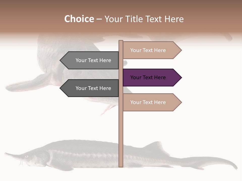 Seafood Closeup Sturgeon PowerPoint Template