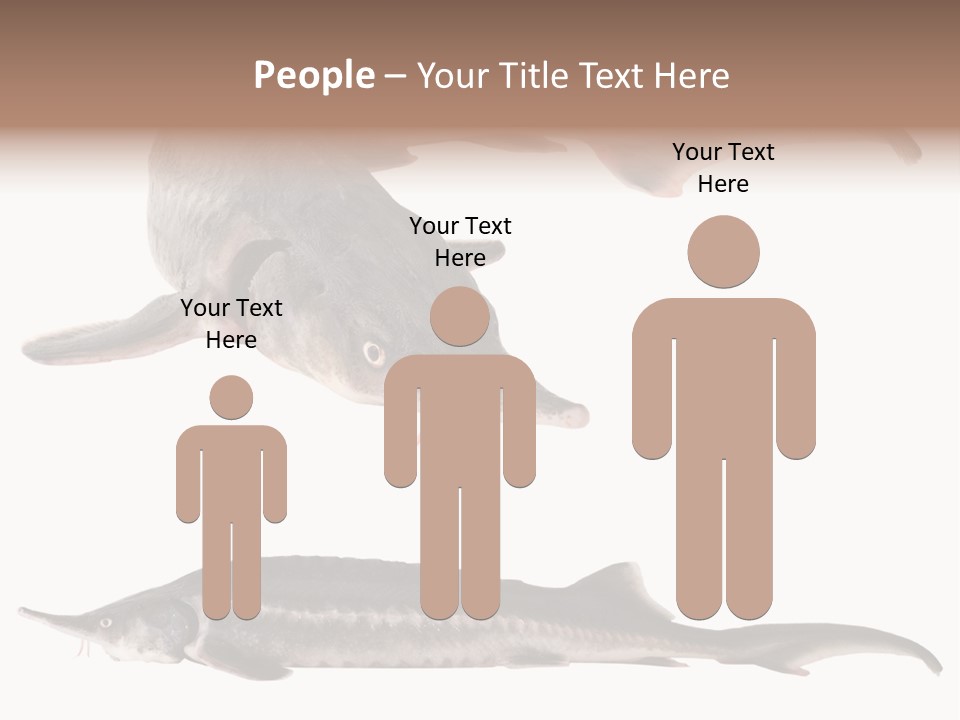 Seafood Closeup Sturgeon PowerPoint Template