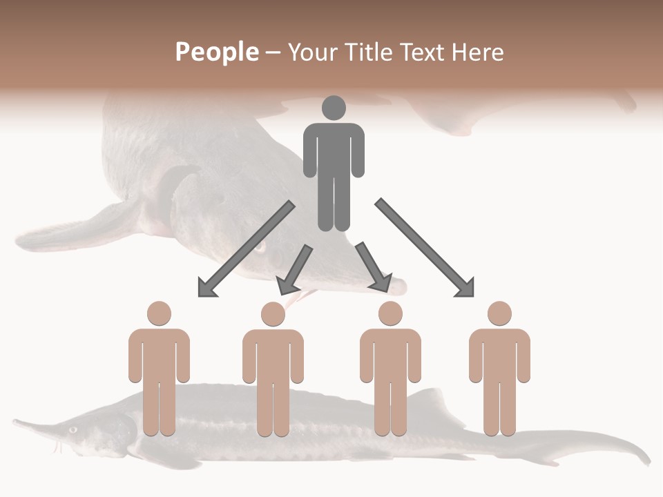 Seafood Closeup Sturgeon PowerPoint Template