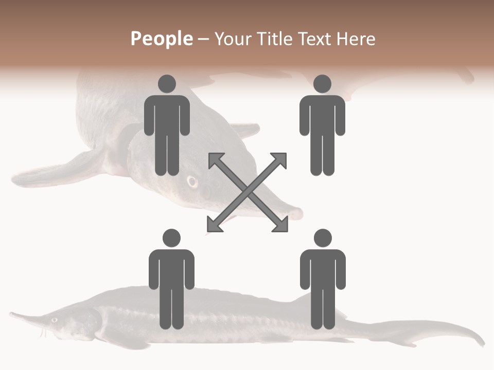 Seafood Closeup Sturgeon PowerPoint Template