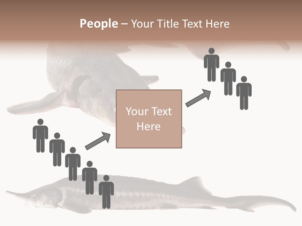 Seafood Closeup Sturgeon PowerPoint Template