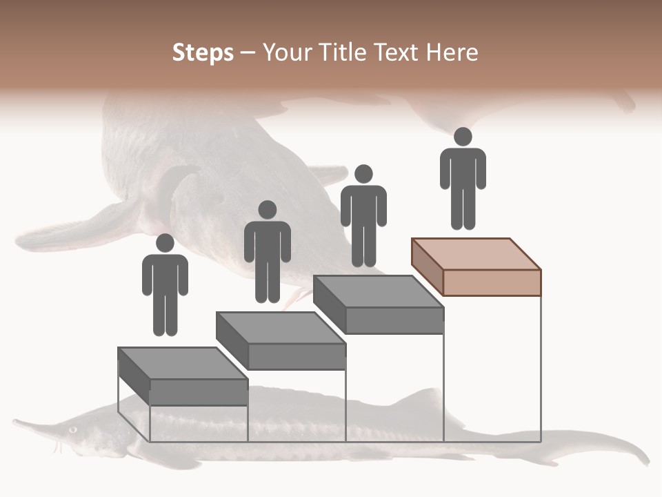 Seafood Closeup Sturgeon PowerPoint Template