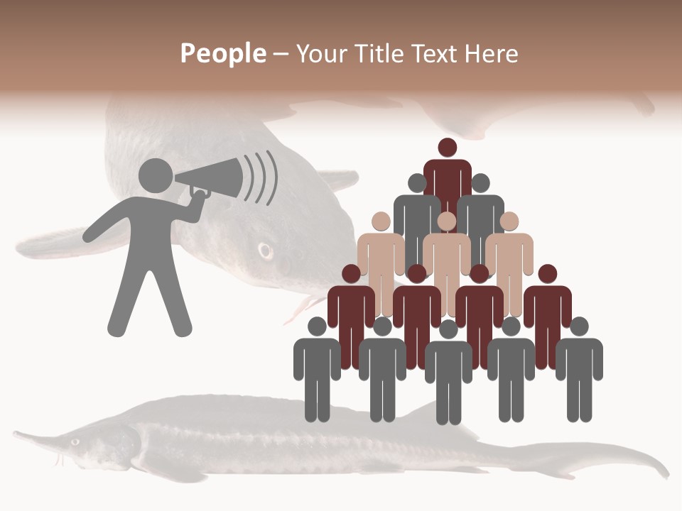 Seafood Closeup Sturgeon PowerPoint Template
