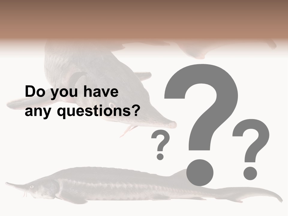 Seafood Closeup Sturgeon PowerPoint Template