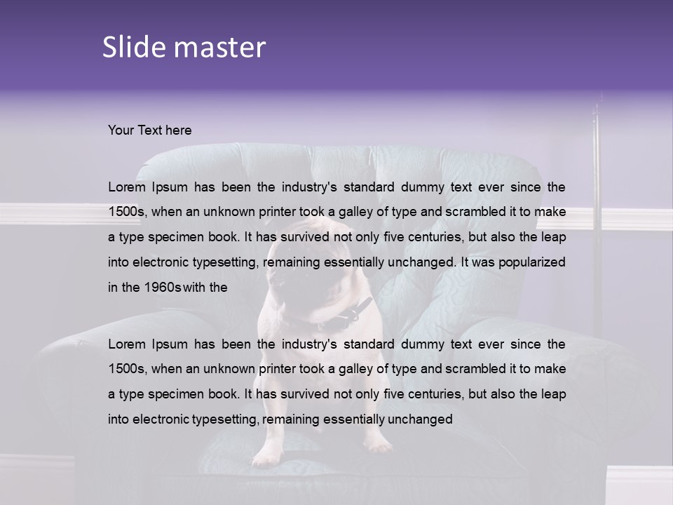 Dog Pug Pet PowerPoint Template